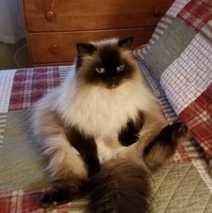 Meet your Posher, Karen